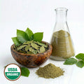 Bowl of Beech green leaves, glass flask with powder, and pile of powder on a white background with USDA Organic label.
