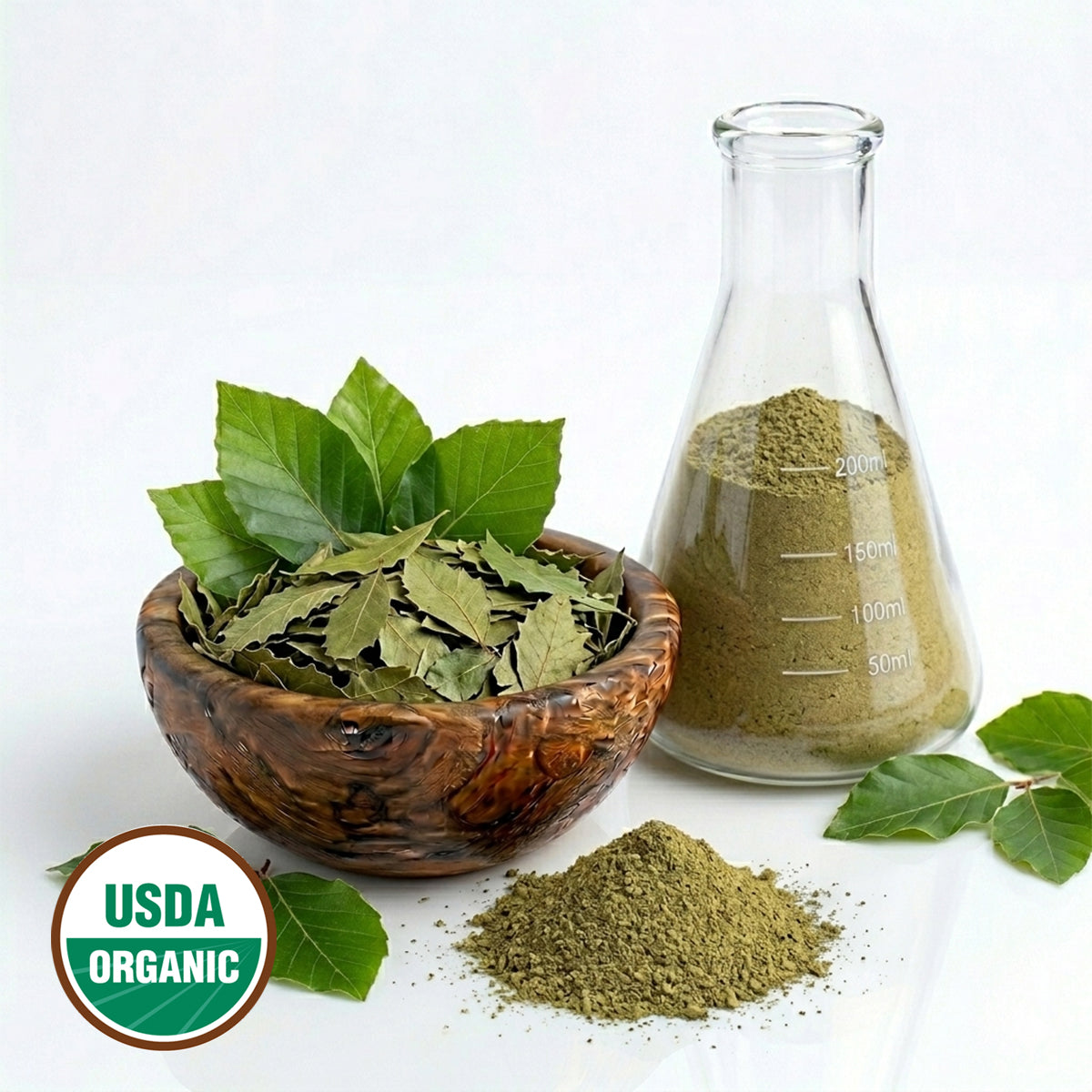 Bowl of Beech green leaves, glass flask with powder, and pile of powder on a white background with USDA Organic label.