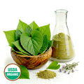 A wooden bowl of Big Leaf aster green leaves, glass flask with powder, and USDA Organic label on a white background