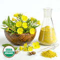 Evening Primrose yellow flowers in a wooden bowl next to a glass flask with yellow powder, USDA Organic label on a white background