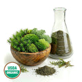 Moss in a wooden bowl and in a glass container with a USDA Organic label on a white background