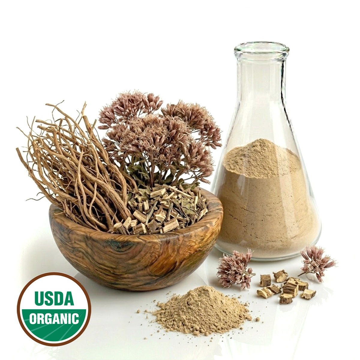Joe Pye Weed plant in a wooden bowl and glass bottle with dried powder and  USDA Organic label on a white background
