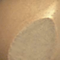 Sol (L49)