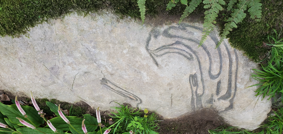 A natural light-colored stone slab with natural, dark veined, abstract curved line patterns, photographed outdoors among green moss, ferns, and plants.